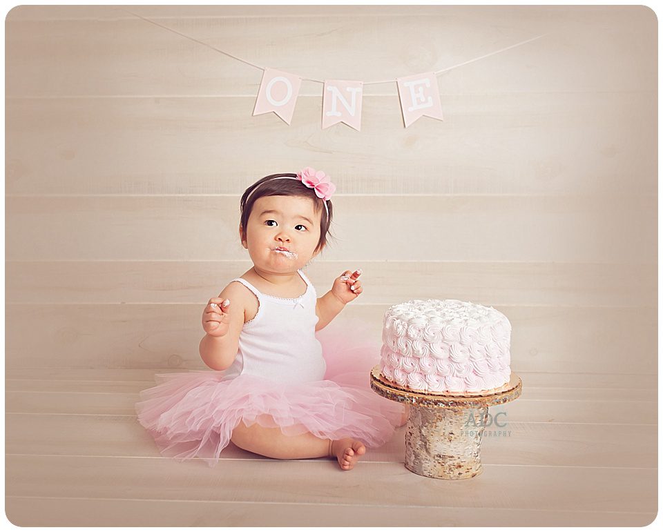 first birthday cake smash session south jersey photographer