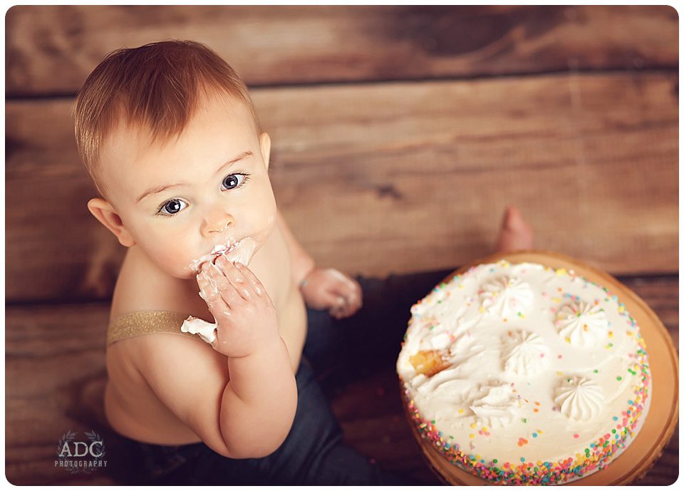 First Birthday Photo Sessions